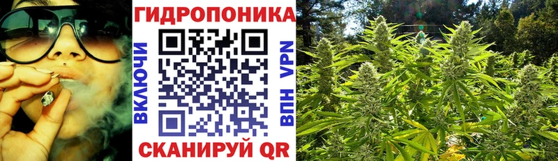 Где найти наркотики Тосно Гашиш АМФ Cocaine МЕФ Каннабис