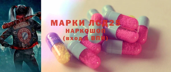 стаф Новозыбков