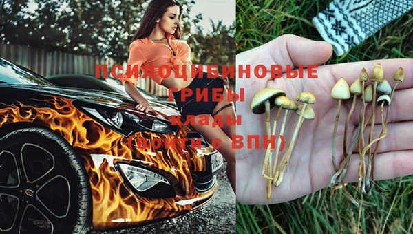 экстази Новокубанск