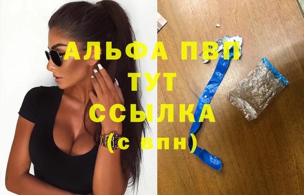 стаф Новозыбков