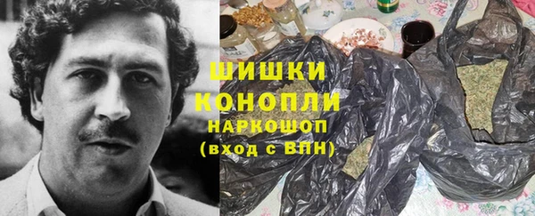соль ск Новодвинск