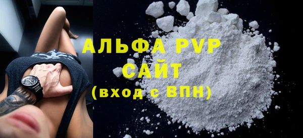 соль ск Новодвинск