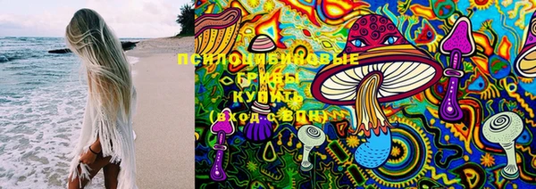 стаф Новозыбков