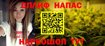 стаф Камышлов