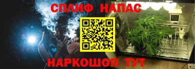 спиды Канаш