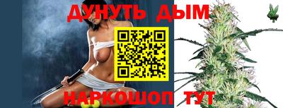 спиды Канаш