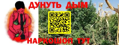 спиды Канаш