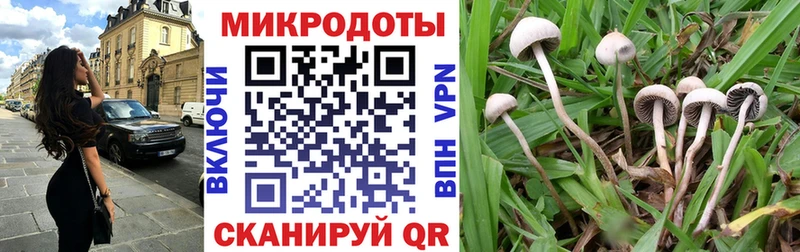 Галлюциногенные грибы Magic Shrooms  купить наркоту  МЕГА зеркало  Тосно 