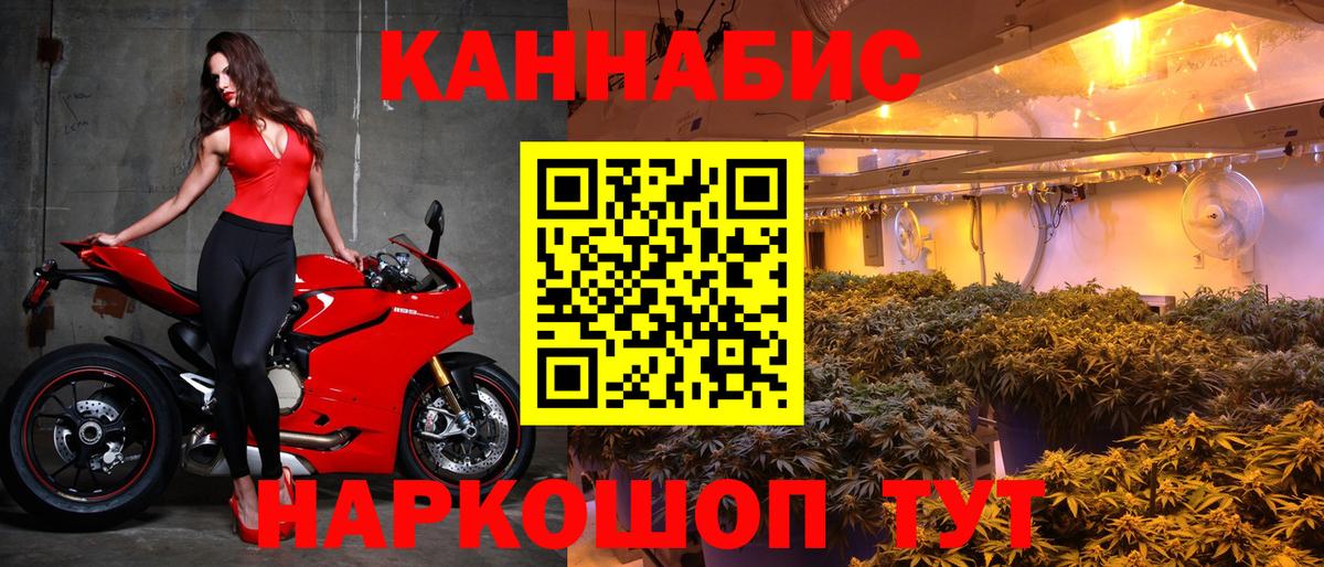 Шишки марихуана гибрид Тосно